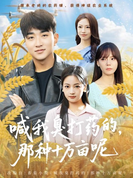 喊我臭打药的，那种十万亩呢（84集）孟天音&王必可 高清完整版