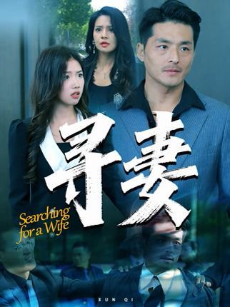 寻妻（70集） 高清完整版